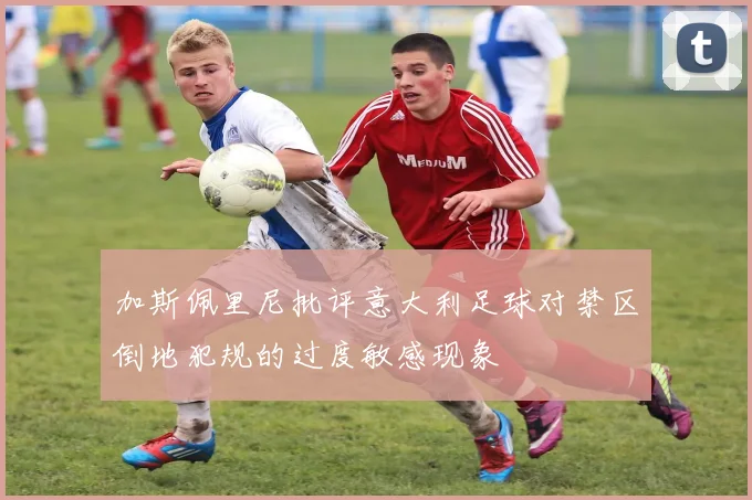 加斯佩里尼批评意大利足球对禁区倒地犯规的过度敏感现象