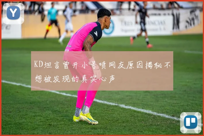 KD坦言曾开小号喷网友原因揭秘不想被发现的真实心声