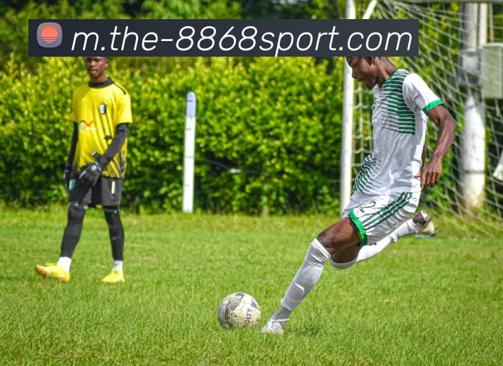 8868体育平台生态图